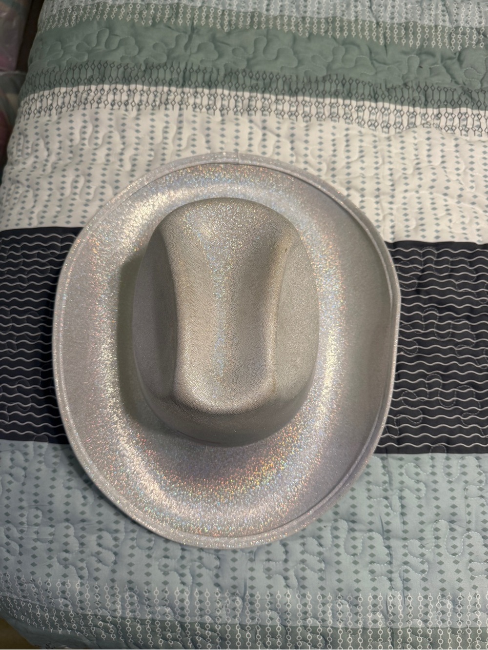 Iridescent Cowboy Hat - Shimmery Silver